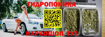 a pvp Севастополь