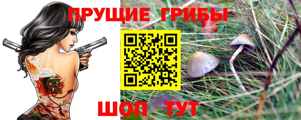 Псилоцибиновые грибы GOLDEN TEACHER Павлово